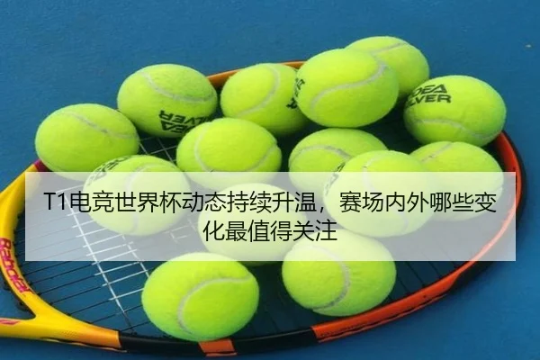 img_1783057860863_159_2_126.jpg